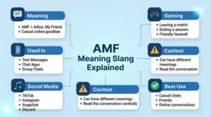 amf meaning slang